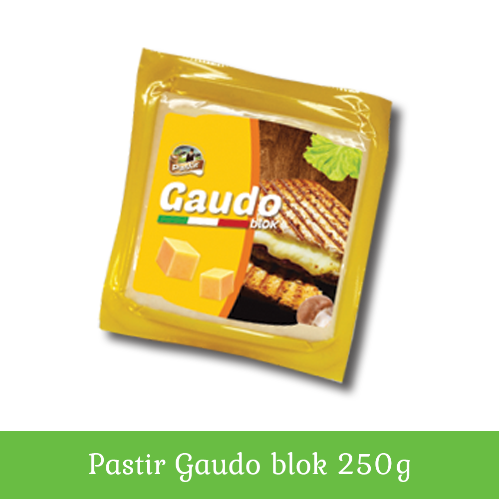 pastir-gaudo-blok-250g (1)